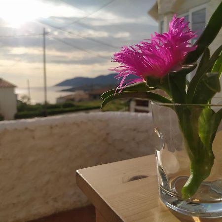 Apartament Port De La Selva El Port De La Selva Екстериор снимка